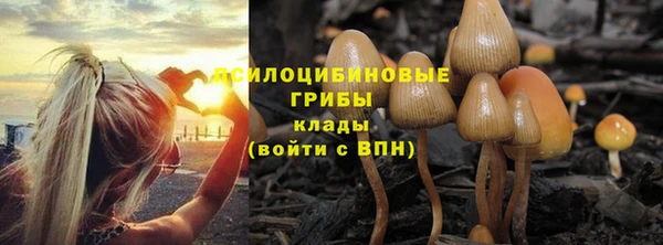 сатива Армянск