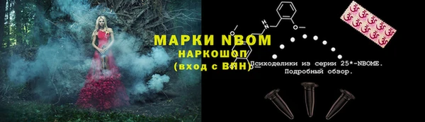 сатива Армянск
