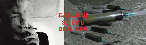 сатива Армянск