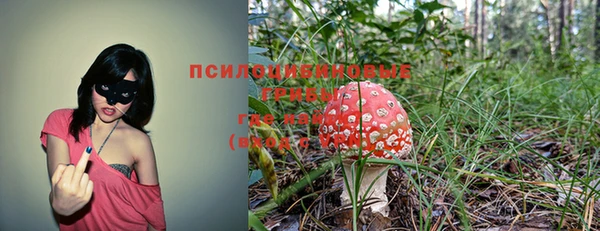 метадон Арсеньев