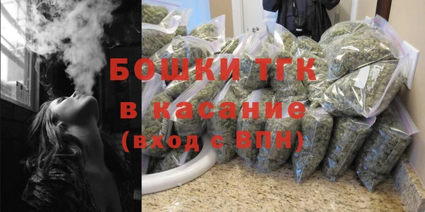 сатива Армянск