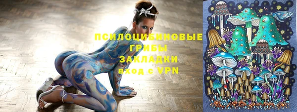 дживик Аркадак