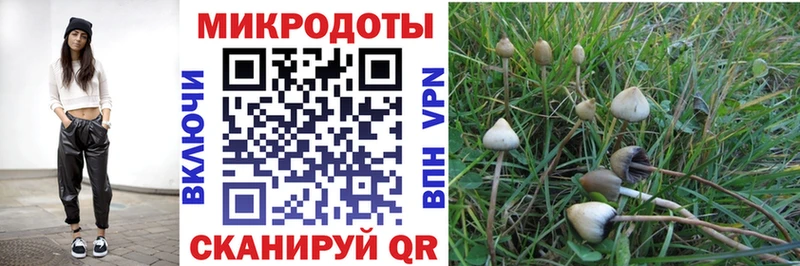 что такое   Онега  mega ссылки  Галлюциногенные грибы мицелий 
